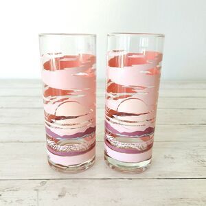 Panache Patrick Flowse Desert Sunset Pink Vintage Drinking Glasses Set of 2 80's